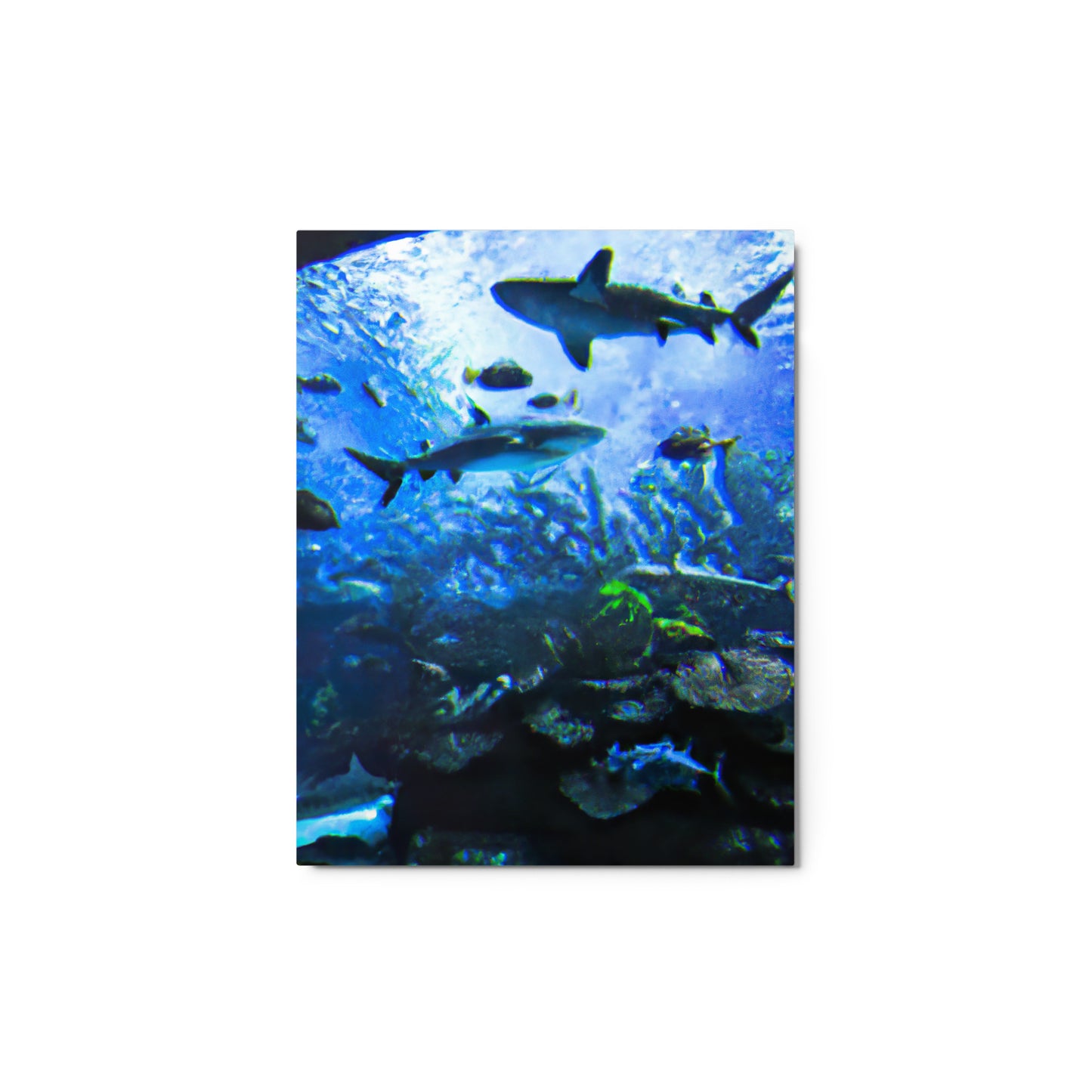 Sealife Metallposter