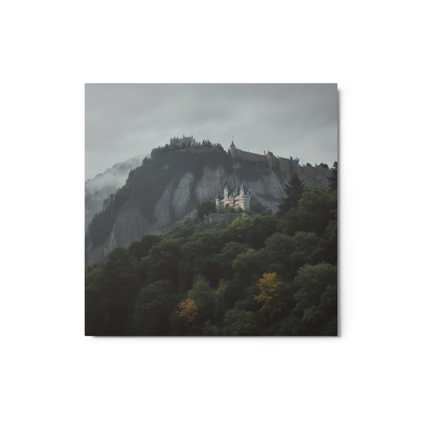 Secret in the Woods Metallposter