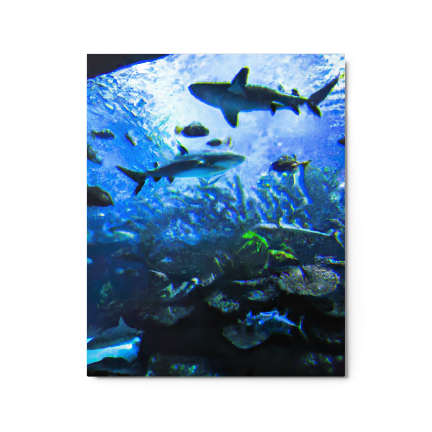 Sealife Metallposter
