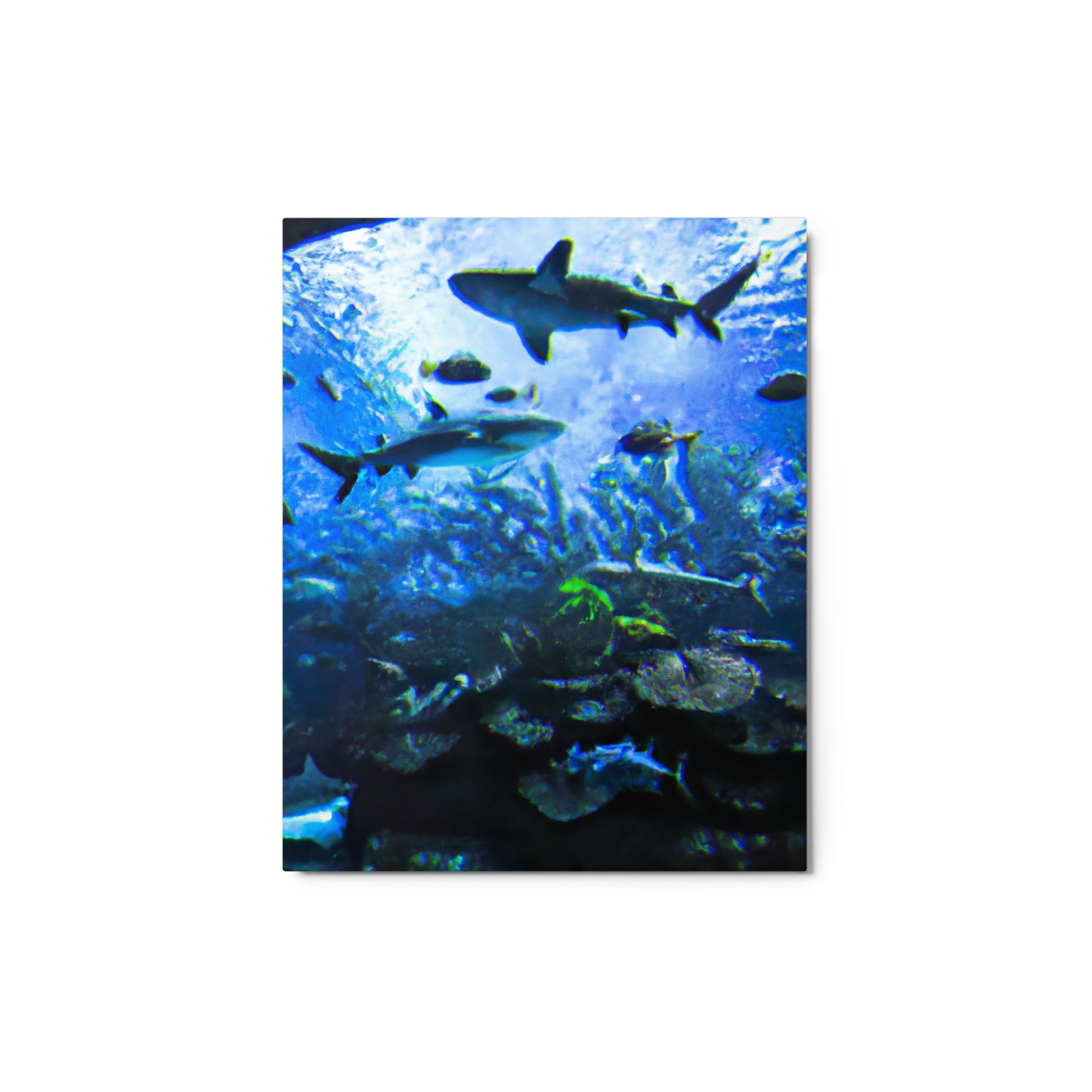 Sealife Metallposter