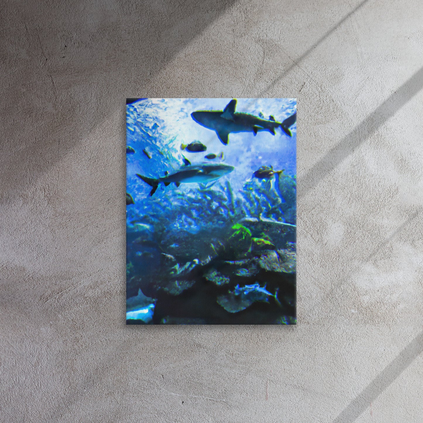 Sealife Leinwand