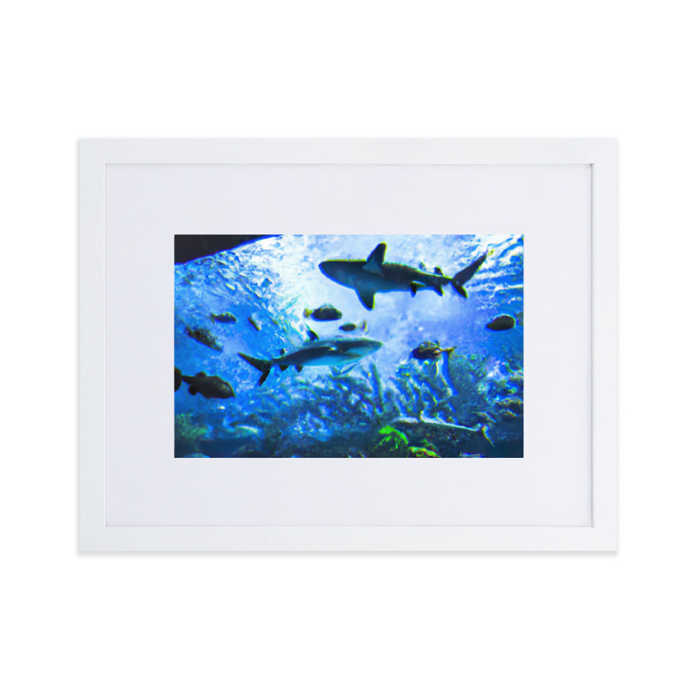Sealife Eingerahmtes Poster