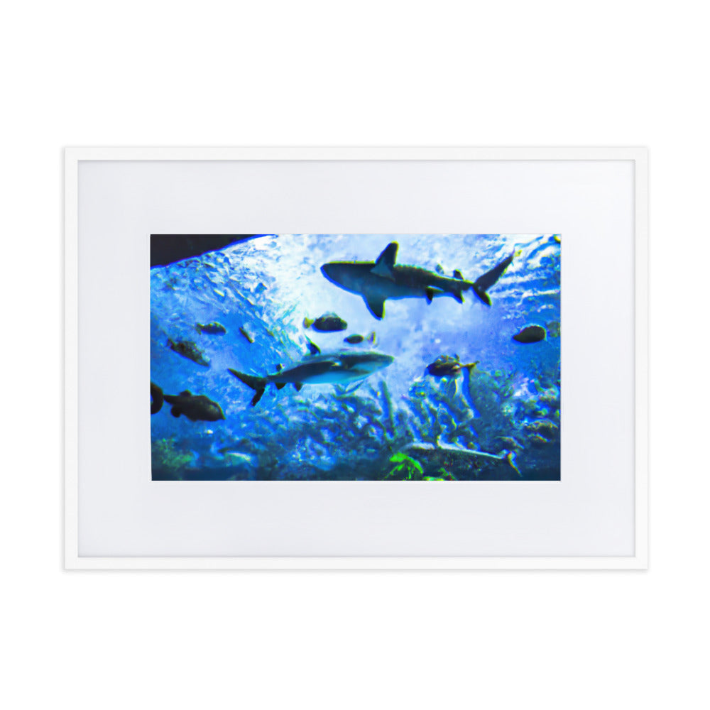 Sealife Eingerahmtes Poster