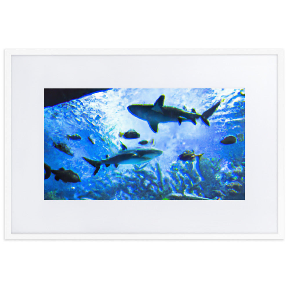 Sealife Eingerahmtes Poster