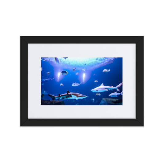Peace at Sea Eingerahmtes Poster